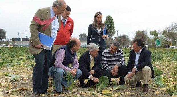 Sebastián Piñera entrega más de 600 bonos productivos a agricultores afectados por la sequía en Coquimbo