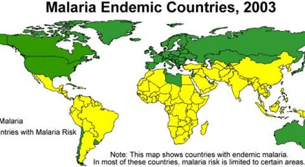 El impacto del cambio climático en la distribución de la malaria