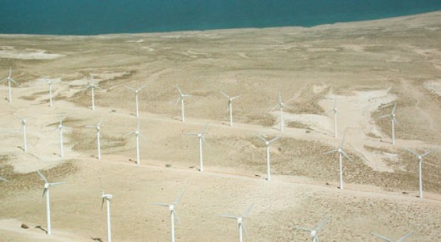 El parque eólico de Corralejo es un ejemplo de utilización de energías renovables asociado a la desalación