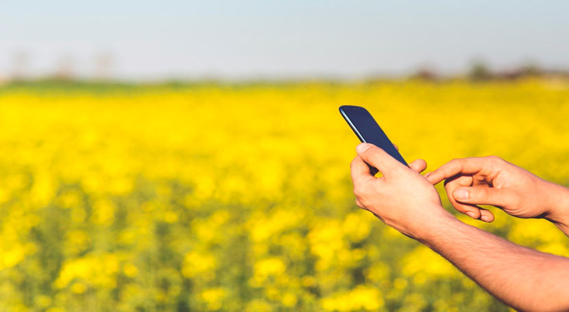 Utilizan herramientas de Industria 4.0 para optimizar el ahorro de agua en cultivos agrícolas