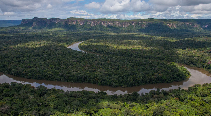 Los ecosistemas de carbono azul son fundamentales para combatir el cambio climático