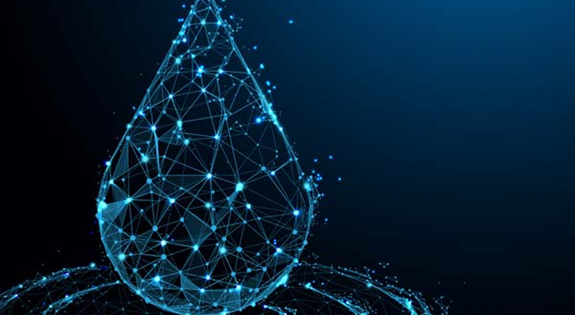 Añarbe presenta el proyecto DIGURBE al PERTE de digitalización del agua, de 9,2 M€ de inversión