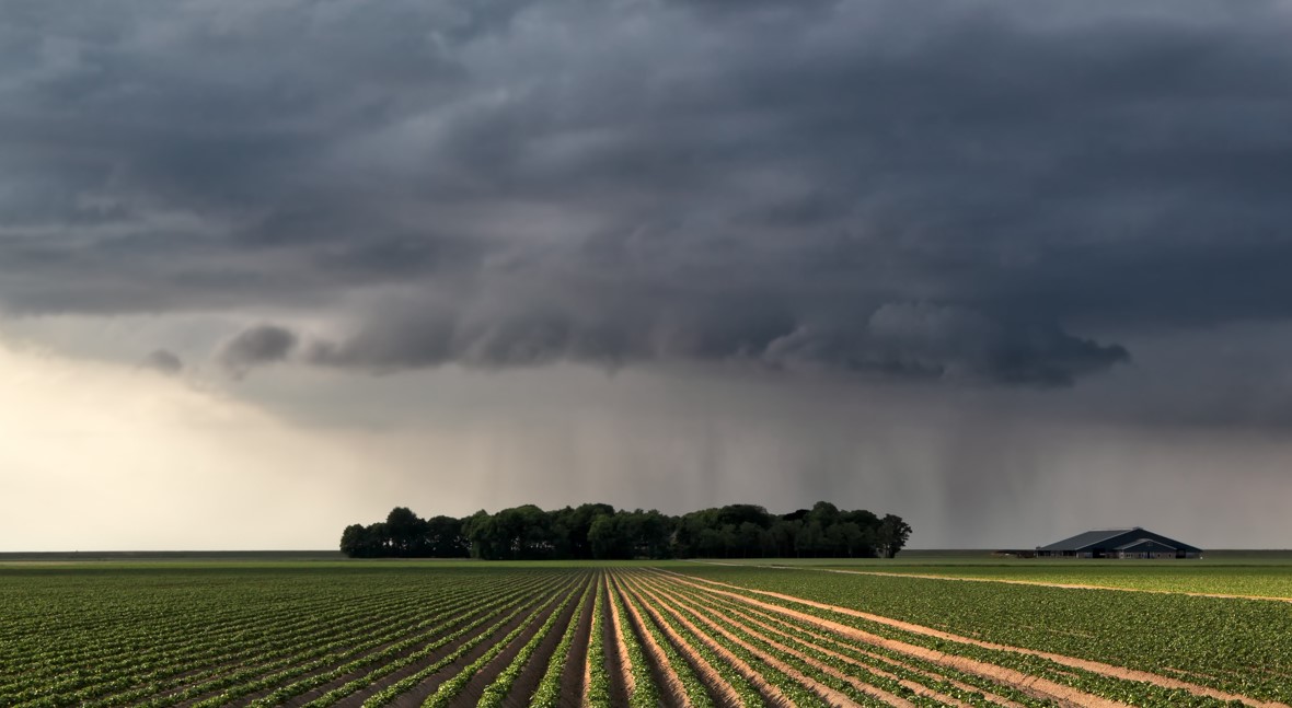 La importancia de proteger los sistemas de riego en épocas de lluvias torrenciales