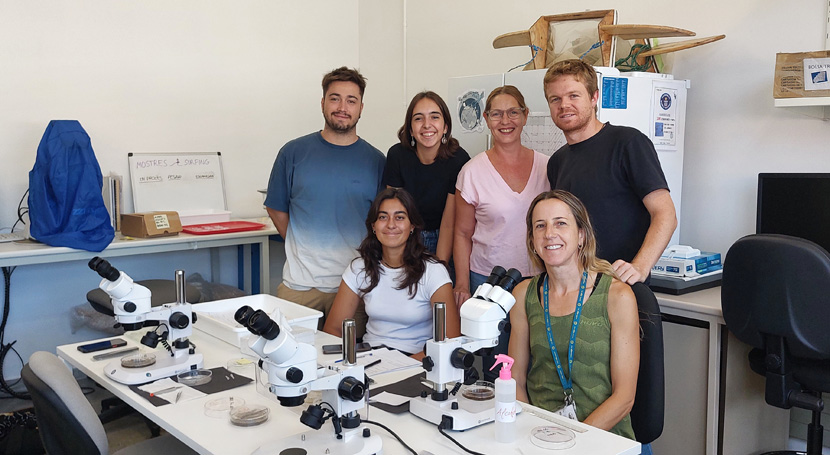 Los restos de césped artificial, una fuente importante de contaminación del medio acuático