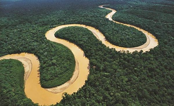 Imagen del meandro en el río Amazonas (fuente. Lifeder)