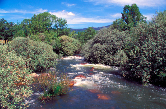 Río Lozoya
