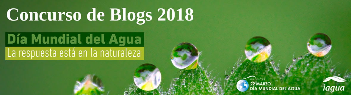 Concurso de Blogs Día Mundial del Agua 2018