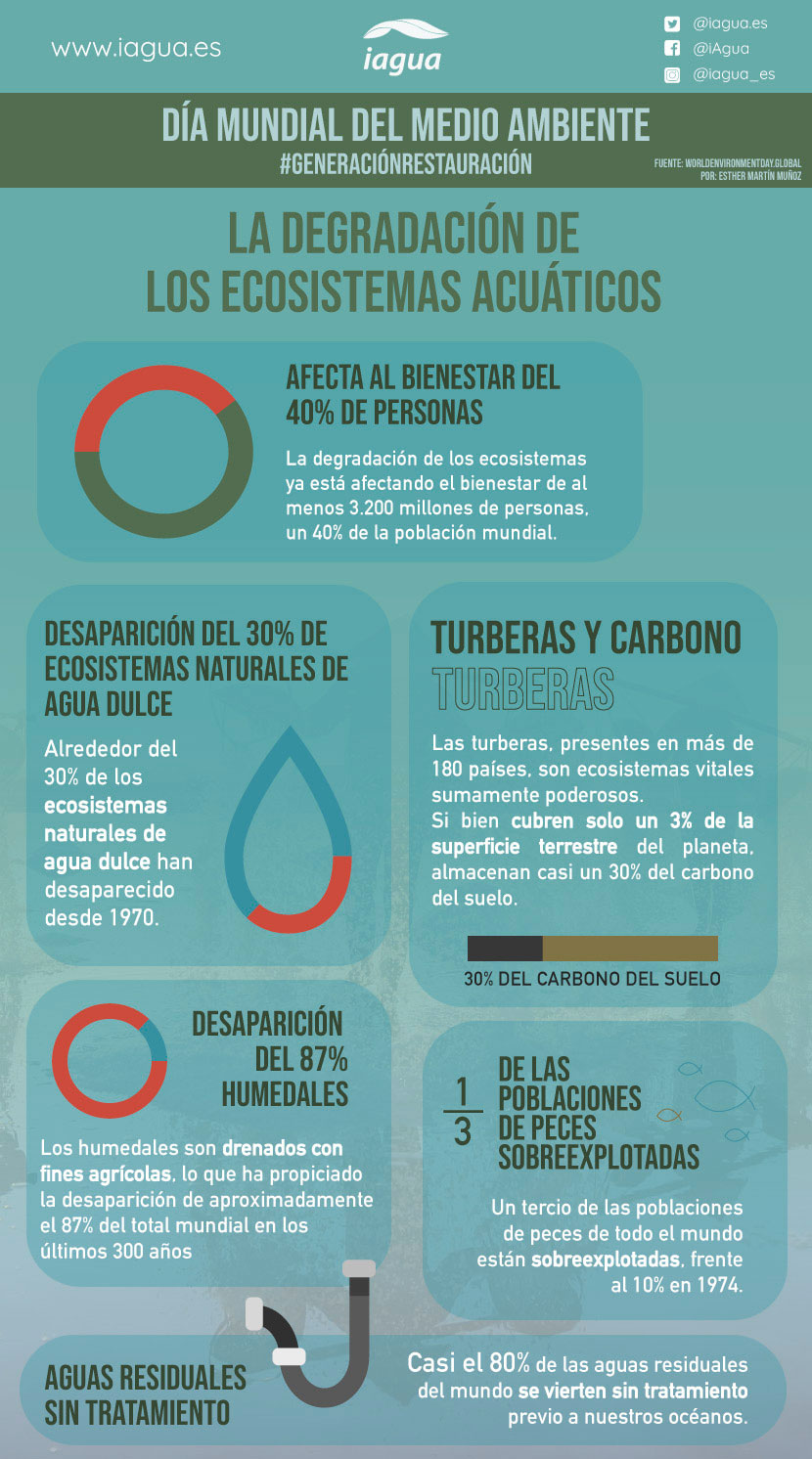 Infografía Día Mundial del Medioambiente