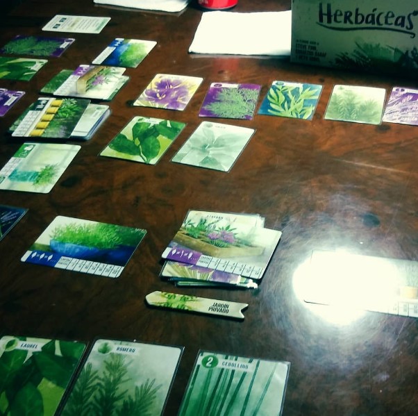 Herbáceas
