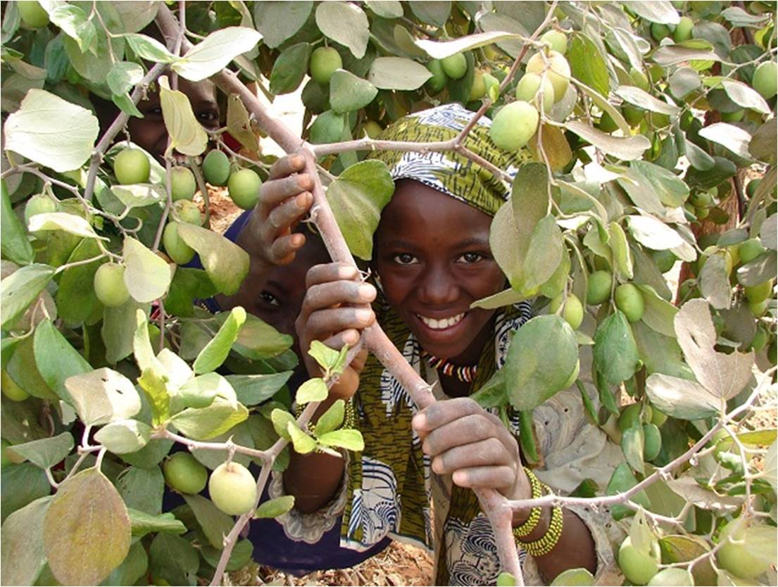 Atar hazlo plano limpiador El sueño de Wangari Maathai | iAgua