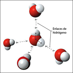 H2O, pequeña gran molécula | iAgua