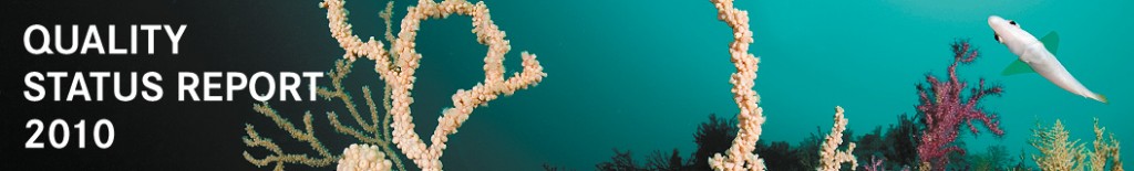 qsr_header