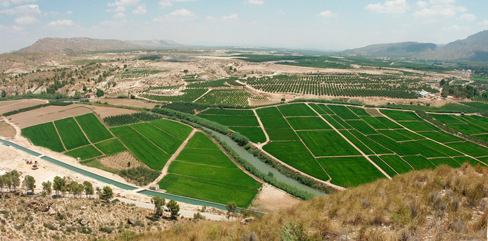 La vega del río Segura (fuente. Wikipedia)