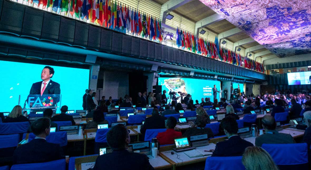 La FAO destaca el papel del agua en un contexto problemático mundial
