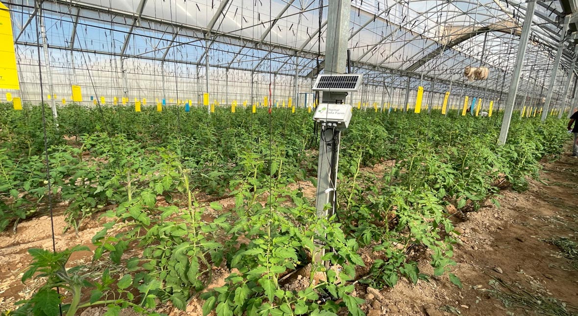 La UPTC obtiene casi tres millones de euros de la UE para un proyecto de digitalización del riego