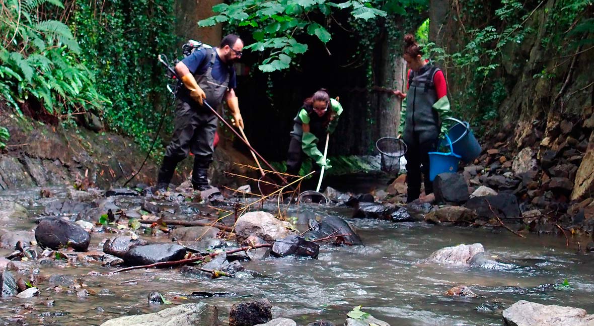 Las aguas de depuradora influyen en el ecosistema fluvial, aunque estén bien tratadas y diluidas
