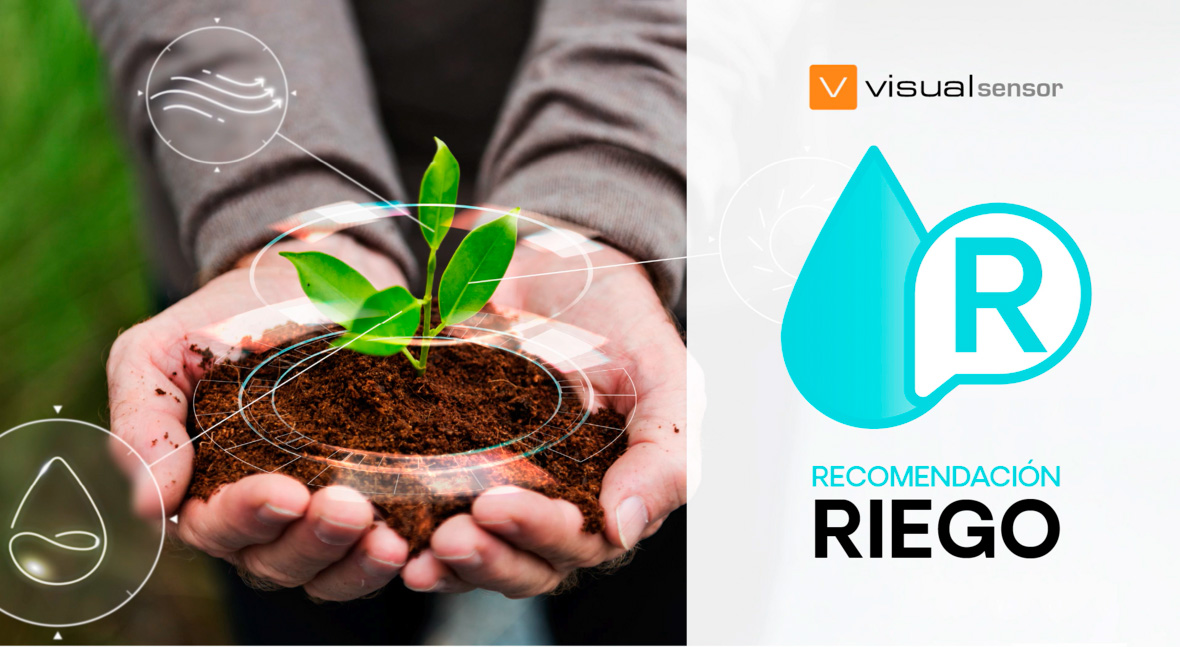 Modelo de Recomendación de Riego Visual: tecnología para la optimización del agua en agricultura