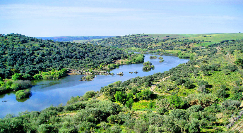 Regantes manchegos cuestionan la viabilidad del Plan Especial de Sequía en el Alto Guadiana
