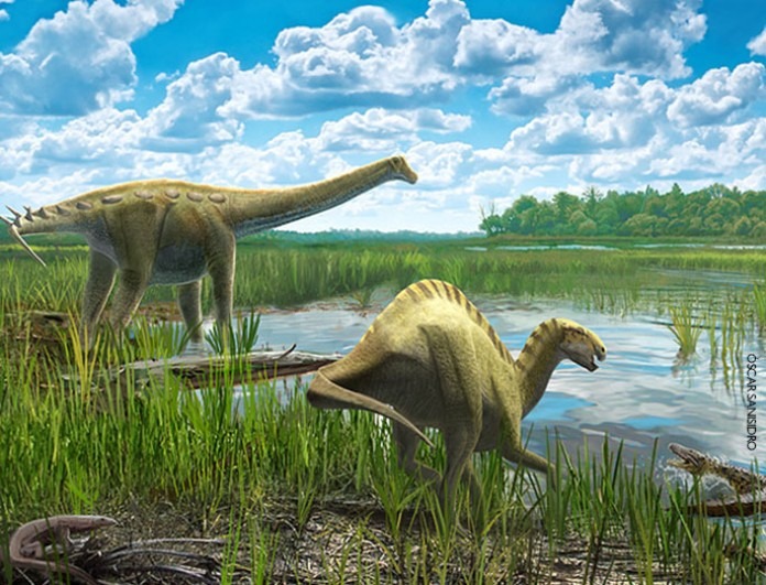 Fósiles de dinosaurios dan pistas sobre el clima de hace 70 millones de  años | iAgua