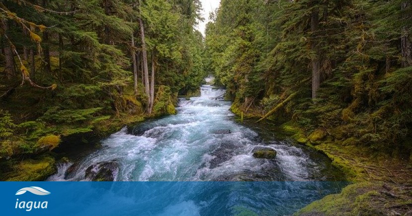 Qué es un río? | iAgua