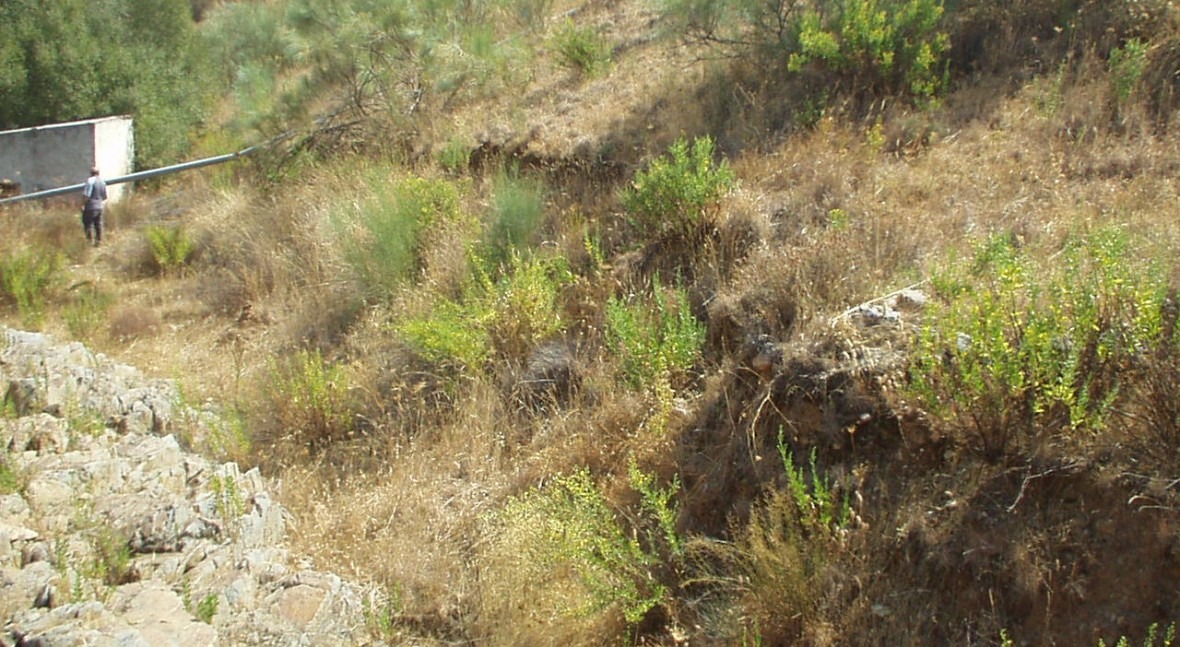 Presa Boqueron, El