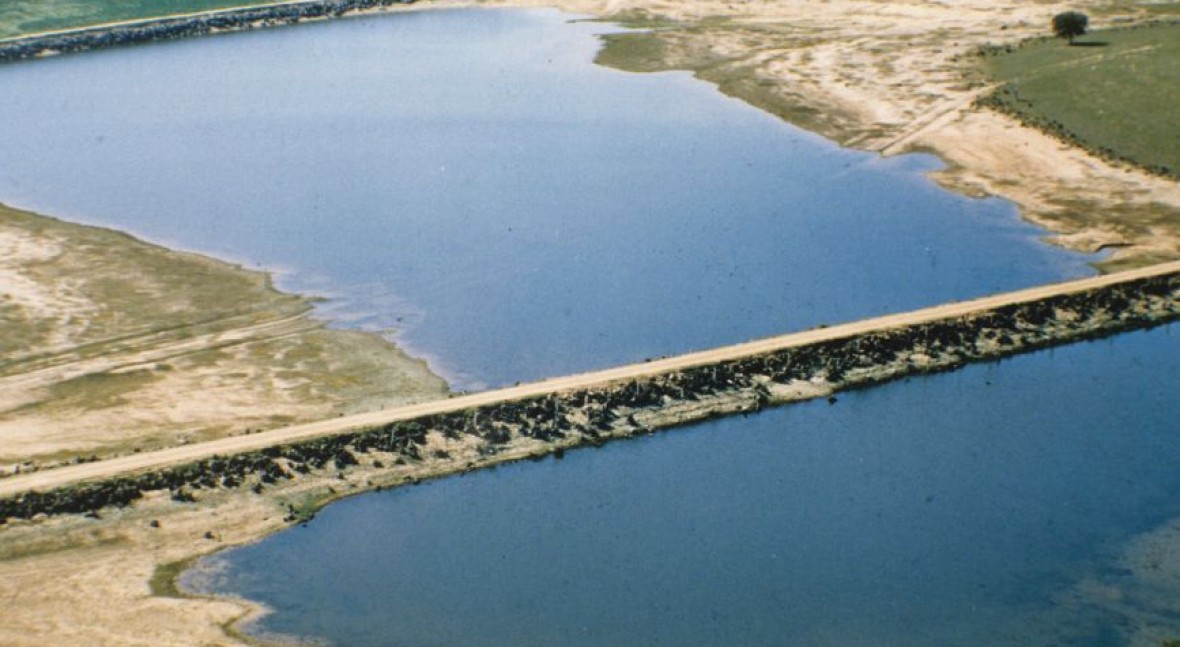 Presa Bremudo (Arroyo) (Sotillo)