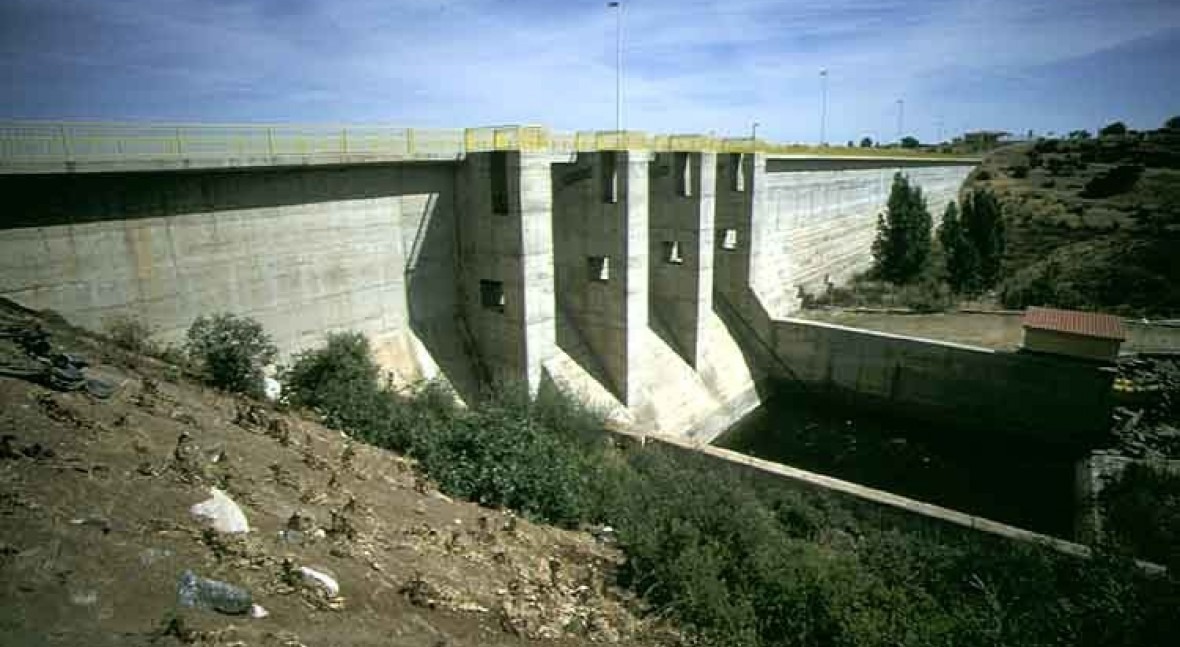 Presa Canchales, Los
