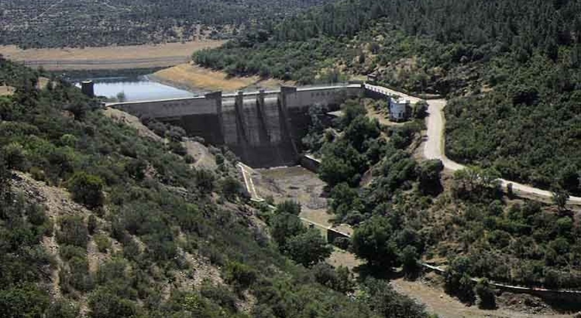 Presa Dañador