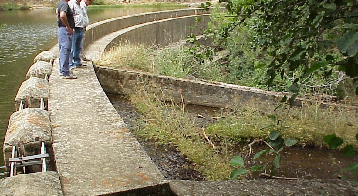 Presa Hinchona, La