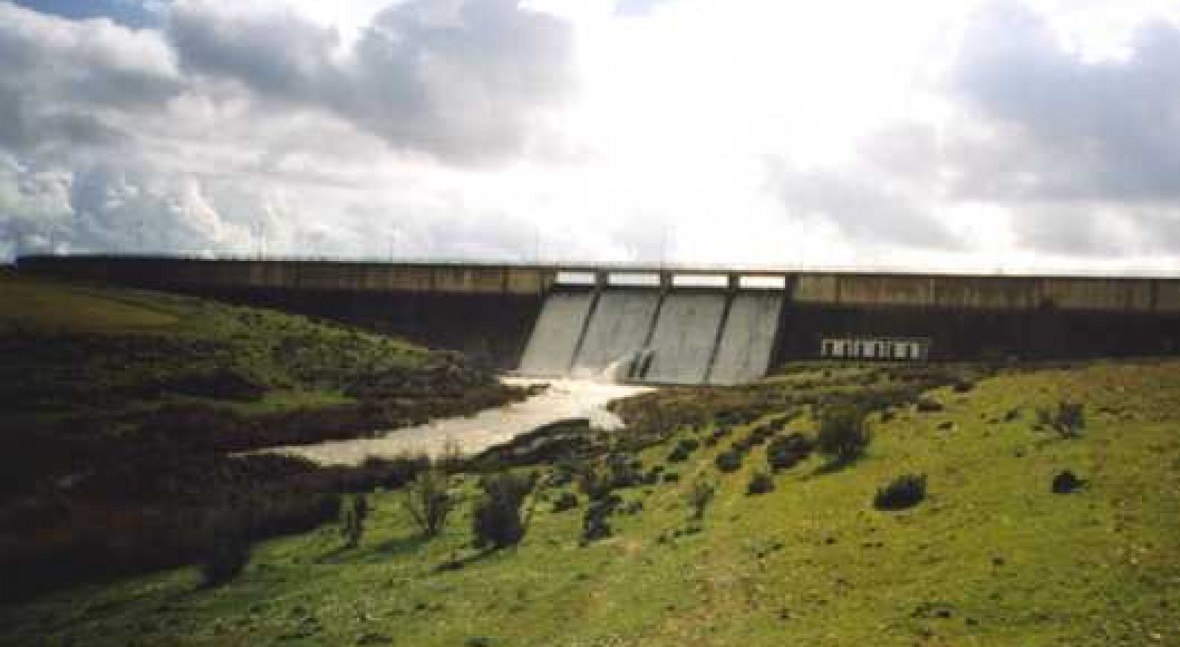 Presa Llerena