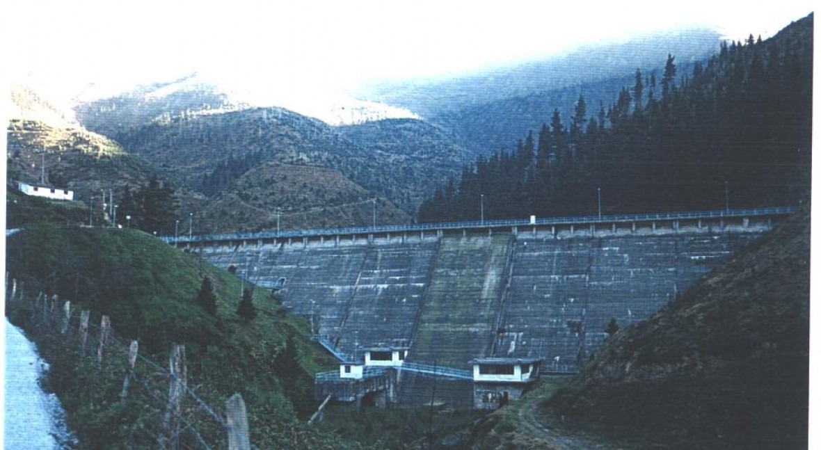 Presa Nocedal
