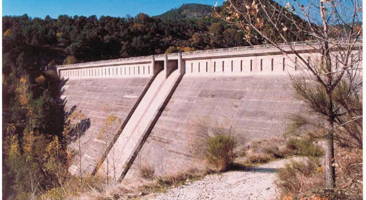 Presa Pajarero, El