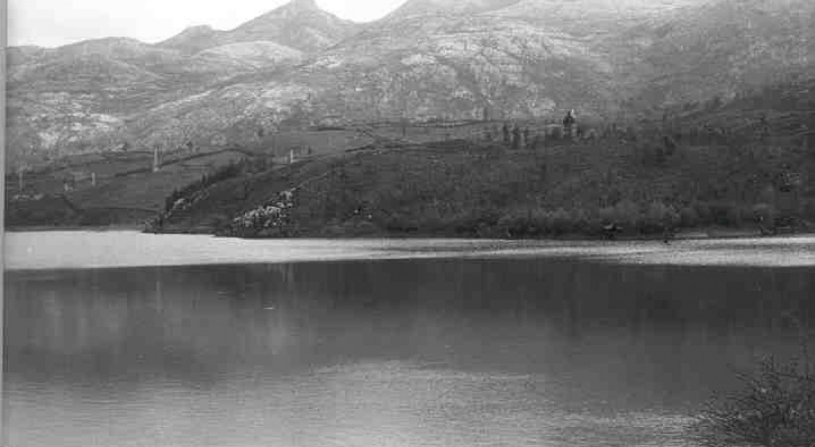 Presa Palombera