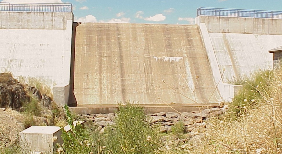 Presa Palomero (Palomares) (Bronco)