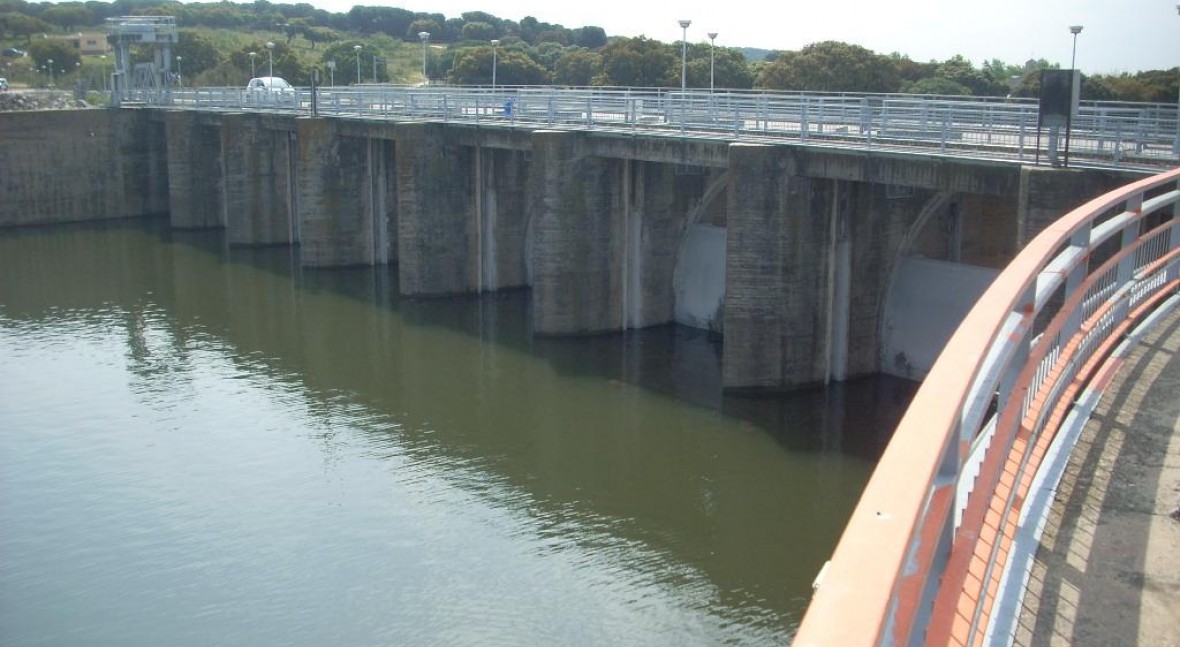 Presa Pardo, El