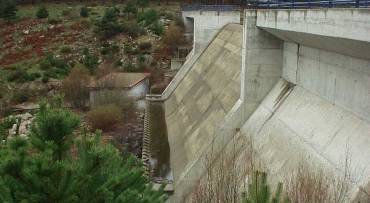 Presa Peguerinos