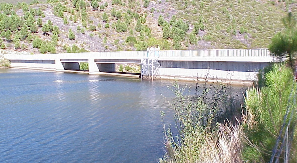 Presa Pinofranqueado