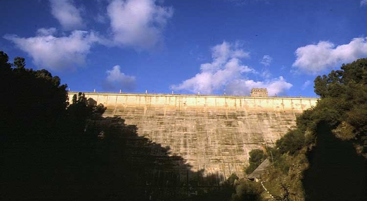 Presa Pintado, El