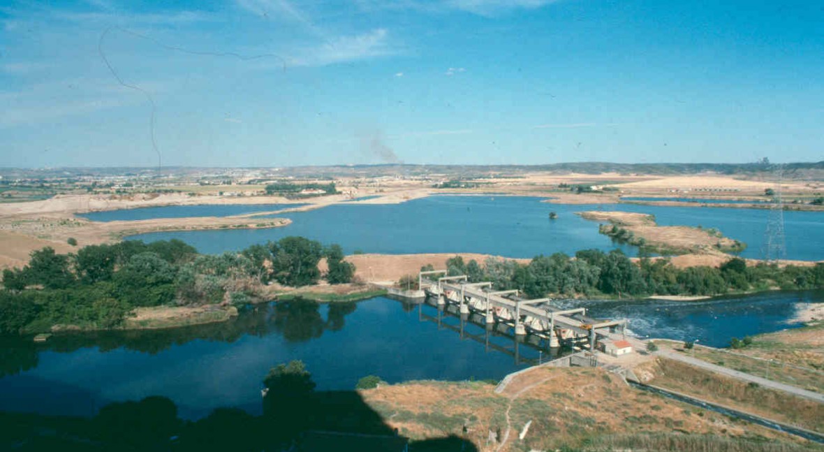 Presa Rey, Del