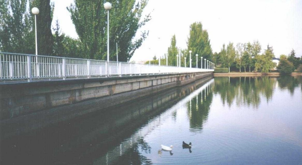 Presa Rosales, Los