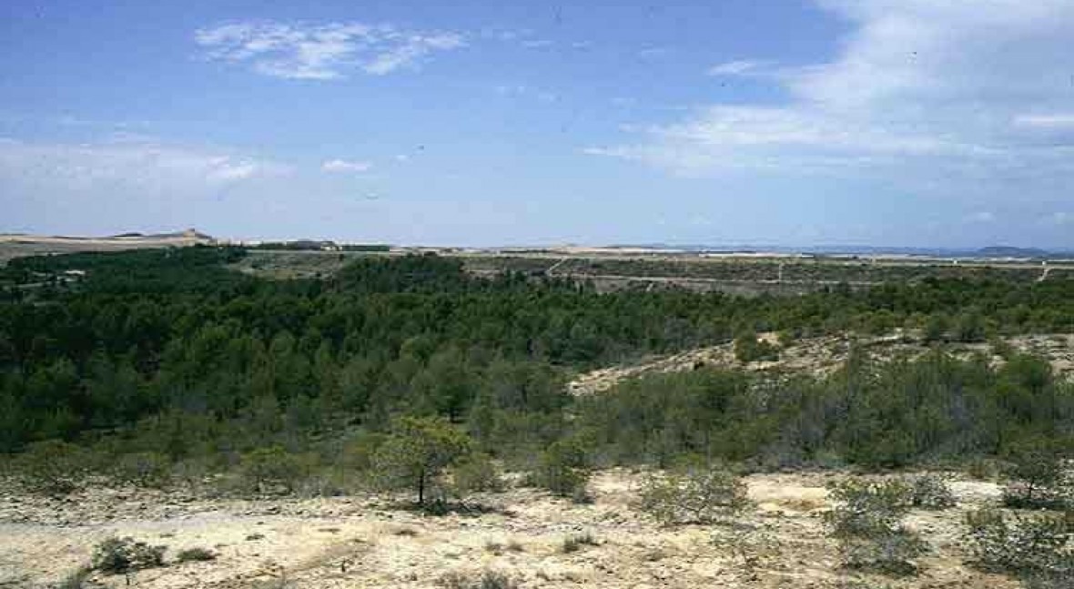 Presa Sotonera, La (Soton)