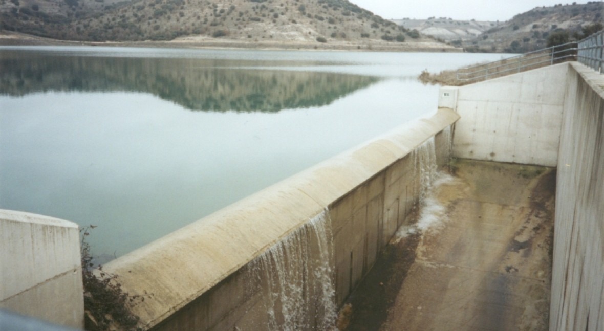 Presa Tortoles De Esgueva