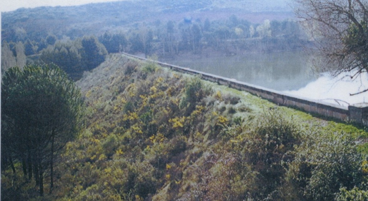 Presa Valbornedo