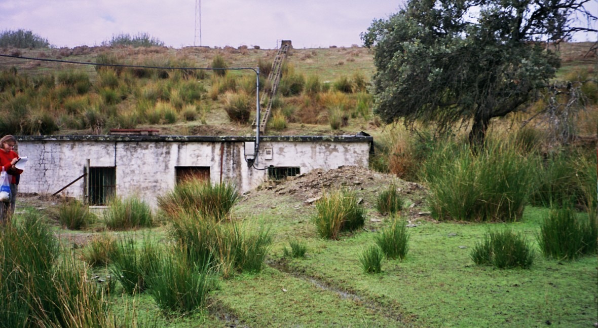 Presa Valdefuentes