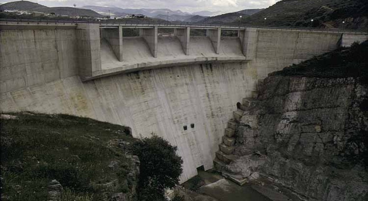 Presa Viboras