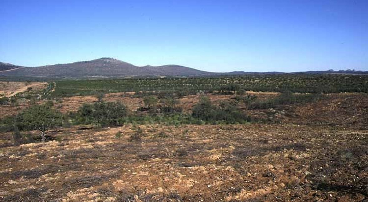 Presa Zarza La Mayor
