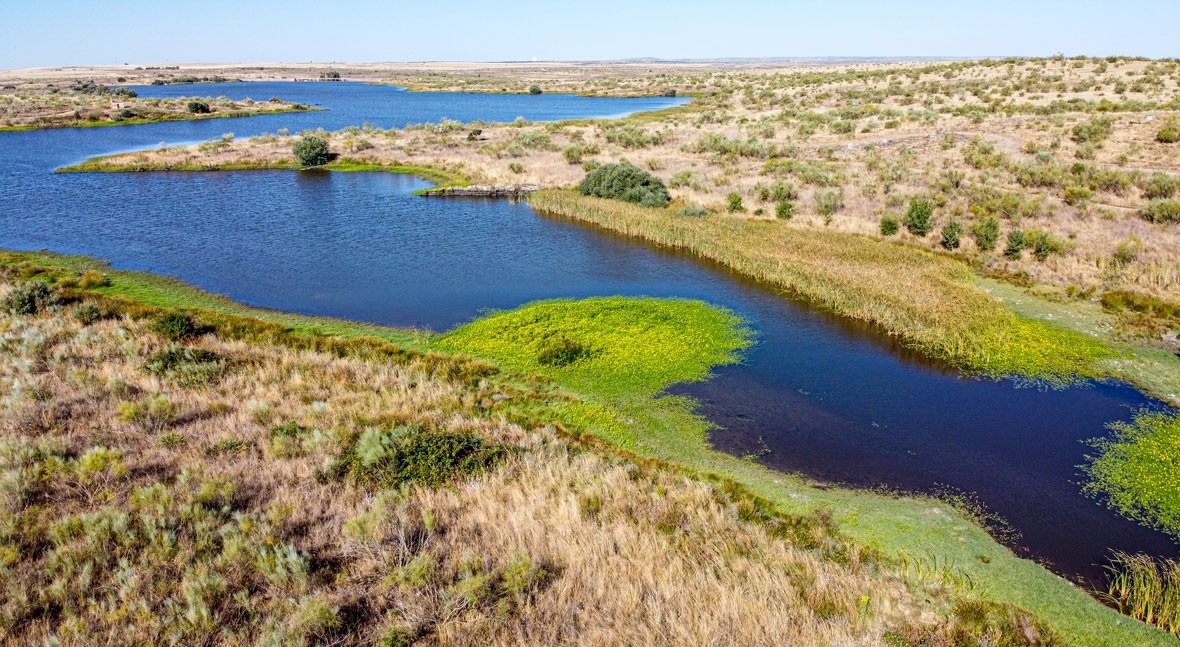 Hacer realidad prioridad abastecimiento y derecho humano al agua