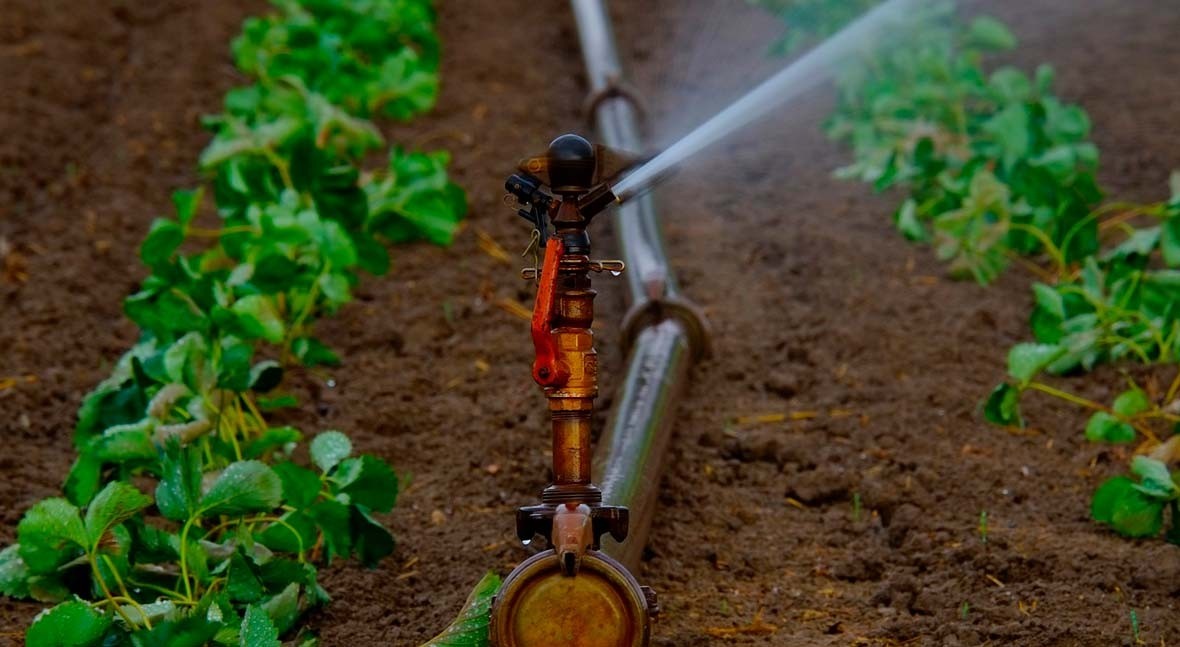 Norma ISO 16.075: gestión riesgo reutilización aguas agricultura