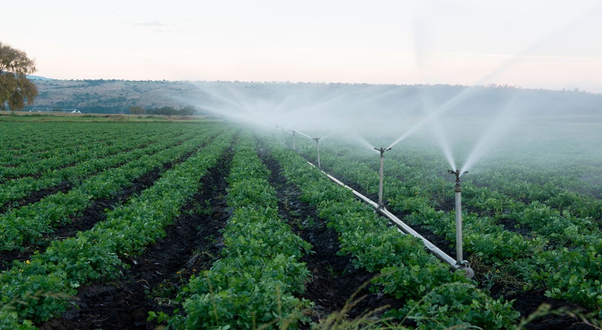México avanza gestión digital agua agricultura