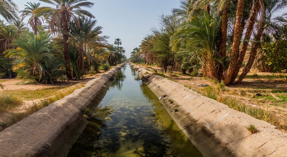Egipto impulsa proyectos desalinización través modelo PPP